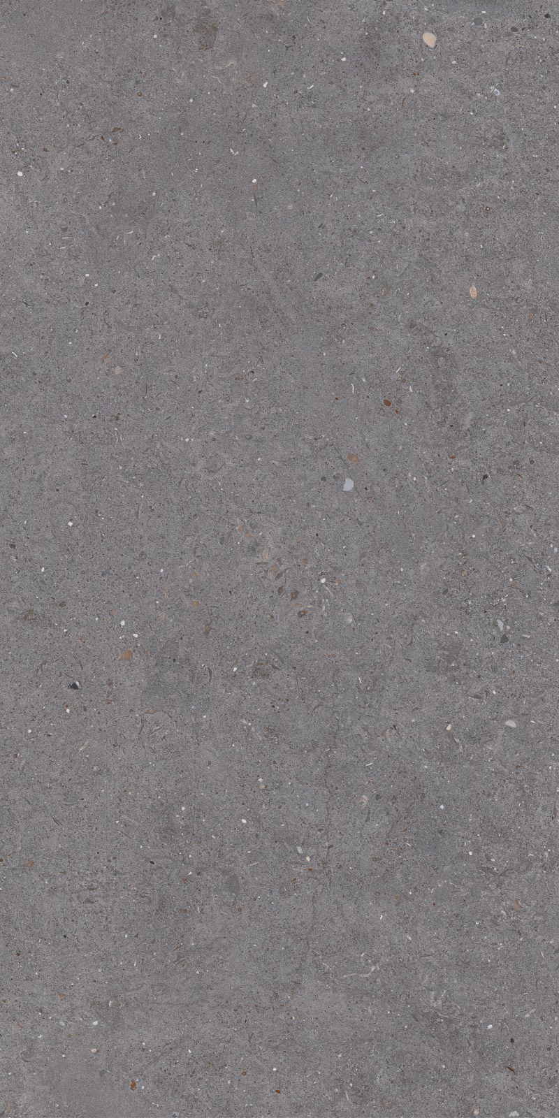 Argent Anthracite 60x120x0,7 cm
