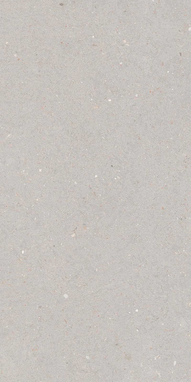 Argent Grey 60x120x0,7 cm