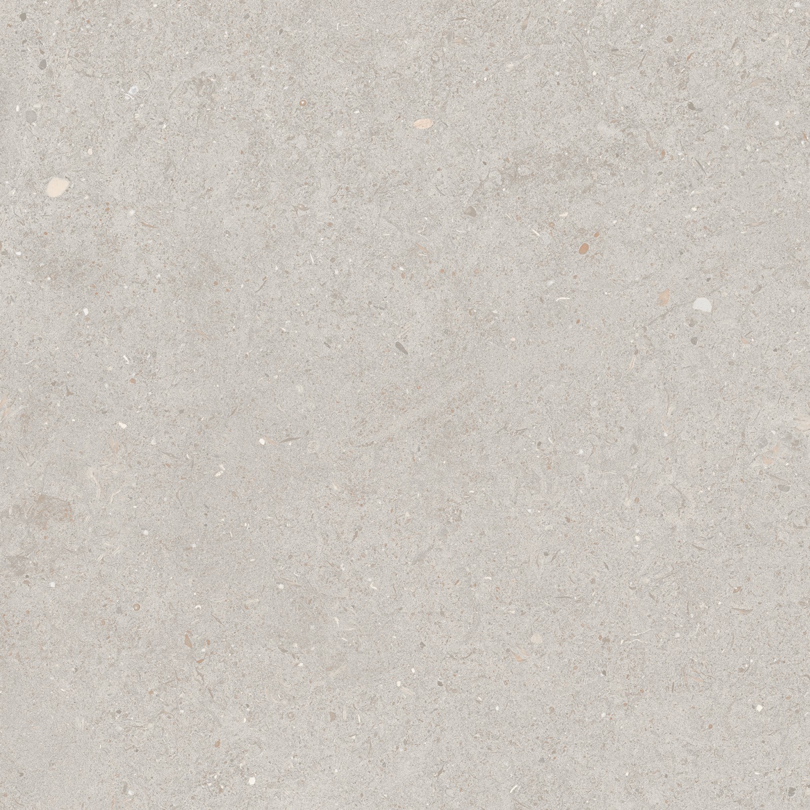 Argent Grey 60x60x2 cm