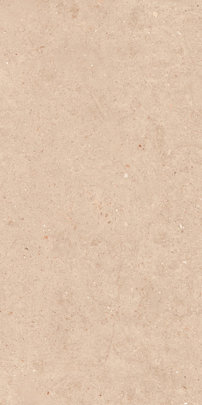 Argent Taupe 60x120x0,7 cm