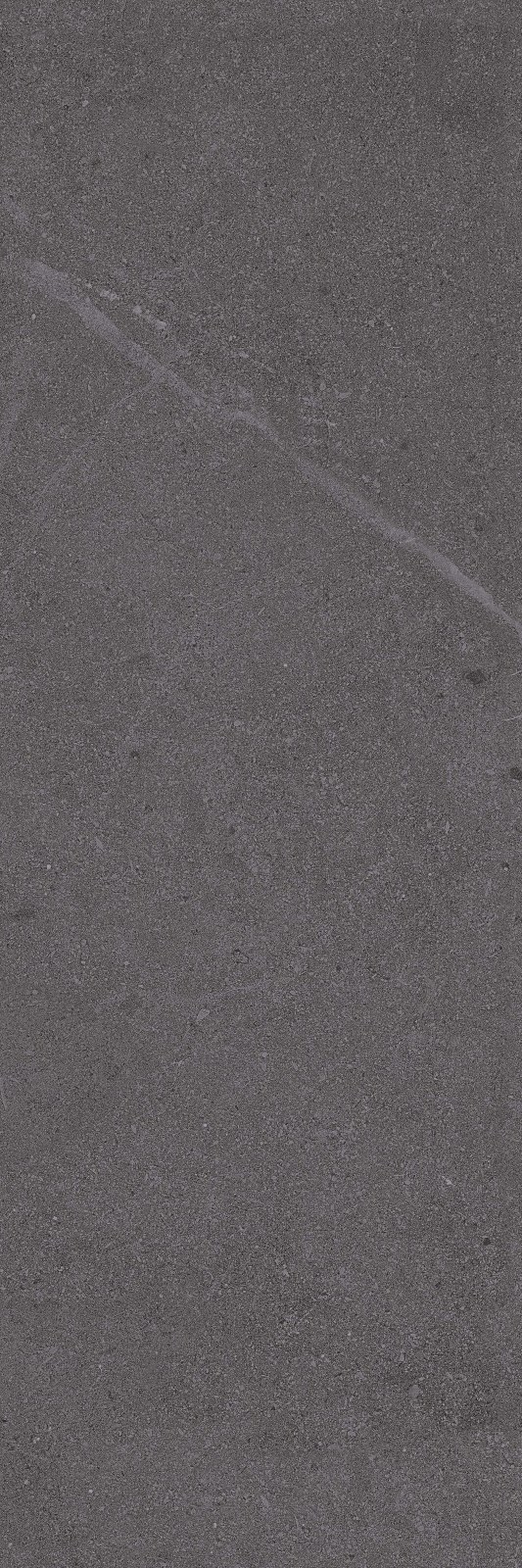 Nidus Anthracite 40x120x0,7 cm