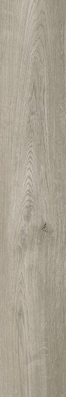 Castagna Bianco 20x120x0,7 cm